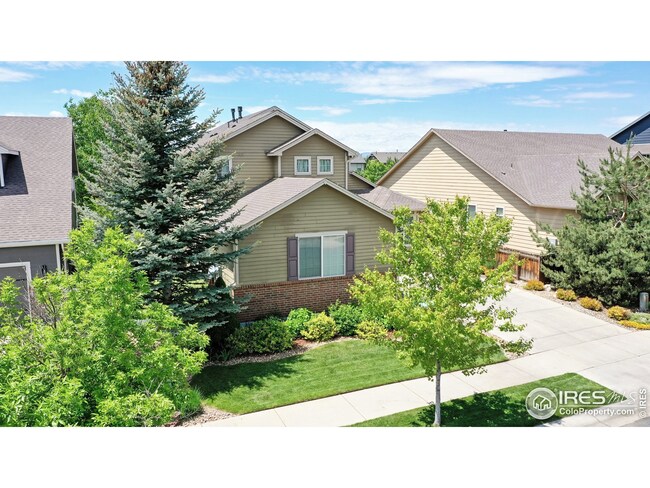 5641 Claret St, Timnath, CO 80547 - photo 2