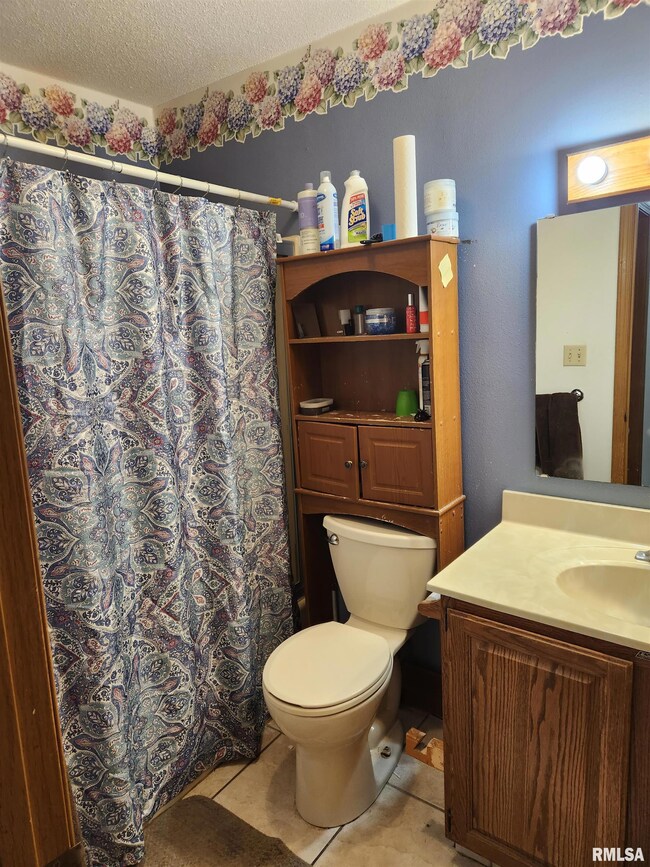 1214 Sherwood Eddy Dr, Jacksonville, IL 62650 - photo 5