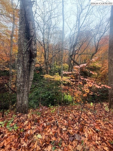 TBD N Old Hwy 16, Jefferson, NC 28640 - photo 2