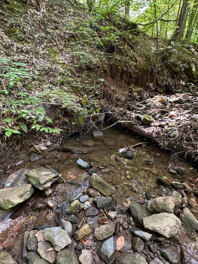 0 Bryant Hollow Rd unit 25-830, Eastern, WV 24910 - photo 3