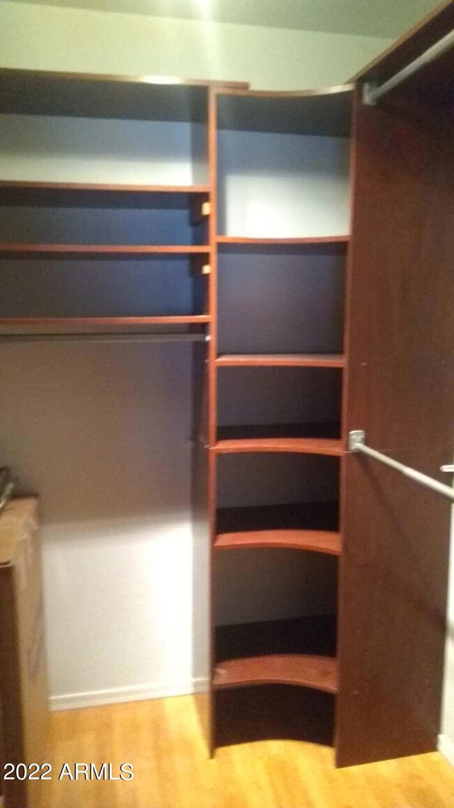 Master Closet Build-Ins