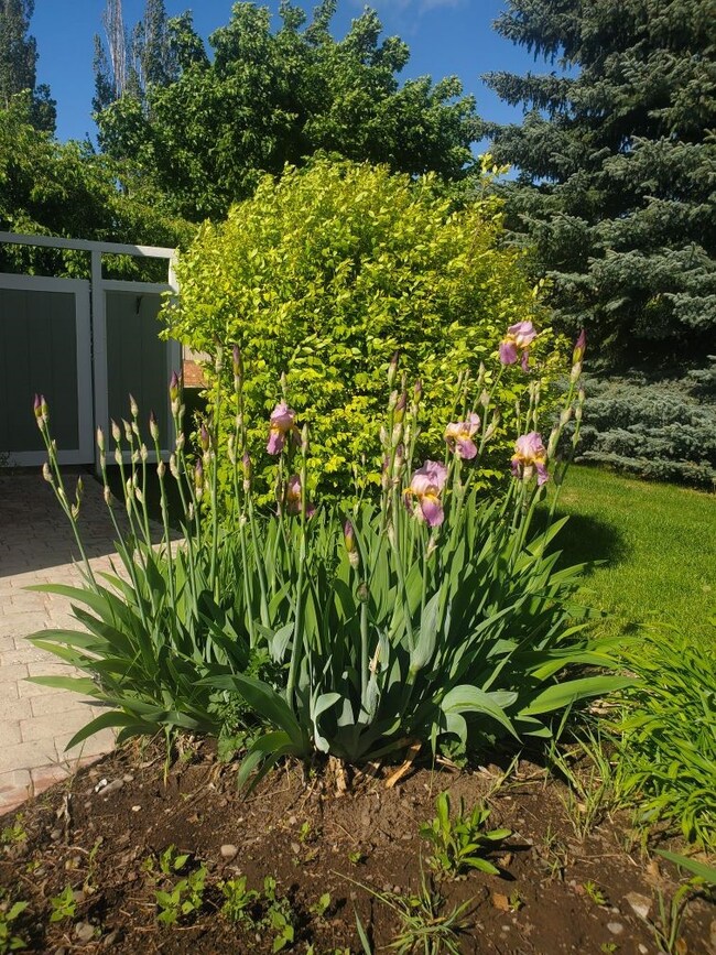 128 Fairway Blvd, Kalispell, MT 59901 - photo 4