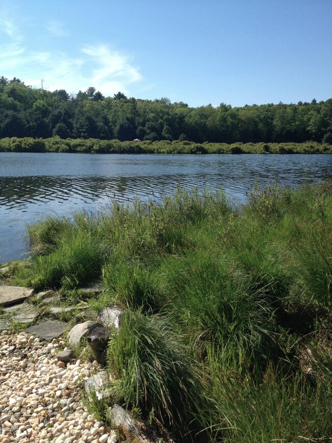 127 Marigold Ln, Milford, PA 18337 - photo 6