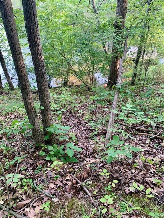 288 Sequoyan Ct, Clay Township, MO 63435 - photo 4