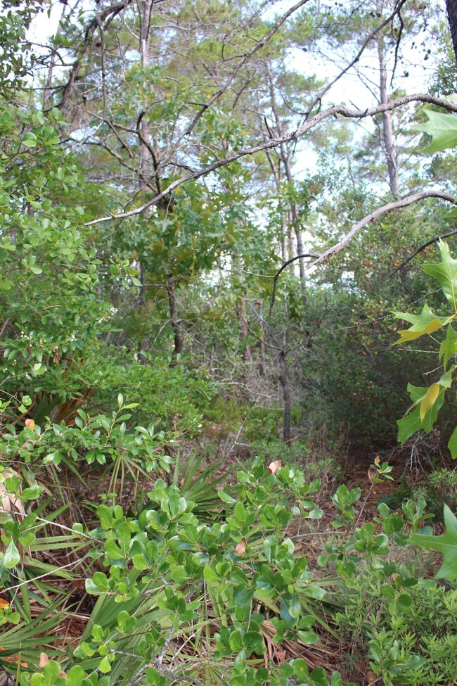 Close up from Congres