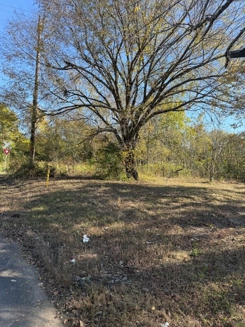 1207 Shiloh St, Paris, TX 75460 - photo 3