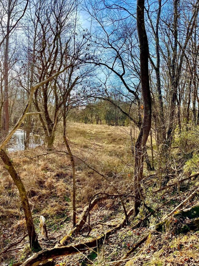 231 Highway 1003, Somerset, KY 42501 - photo 3