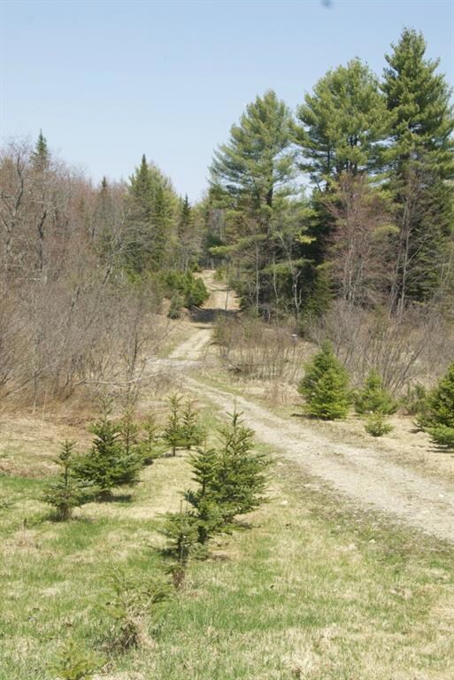 125 Bowie Hill Rd, Durham, ME 04222 - photo 6