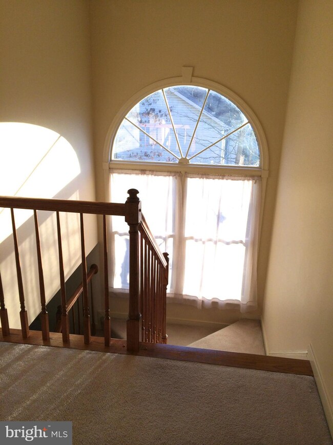 6408 Forest Grove Dr, Fredericksburg, VA 22407 - photo 4