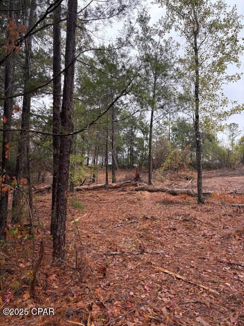 4593 Meadowview Rd, Marianna, FL 32446 - photo 5