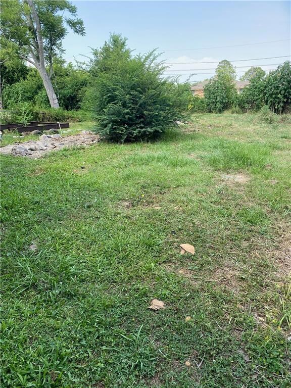 back yard