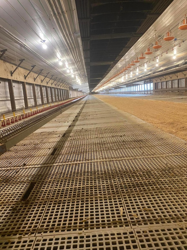 3061 County Road 51, Fayette, AL 35555 - photo 7