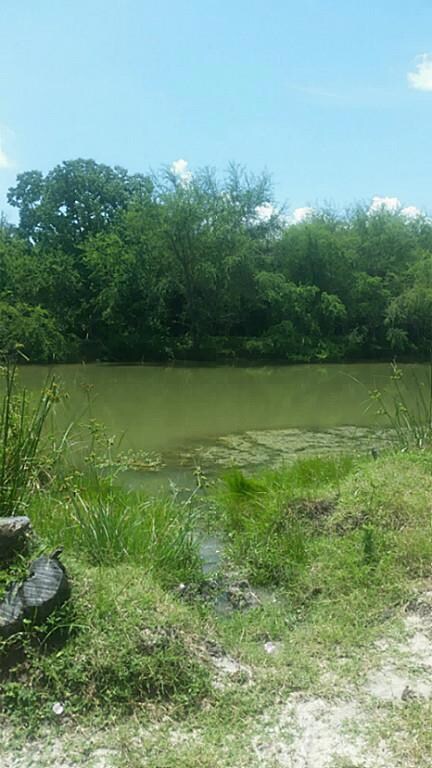 0 Spell Rd unit 24617537, Needville, TX 77461 - photo 4