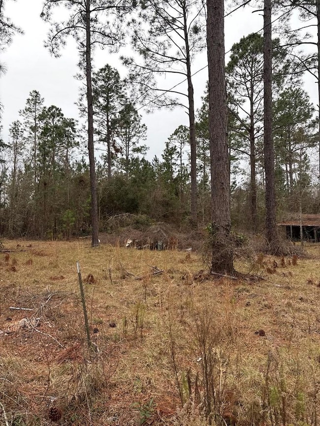 223 Hill Rd, Lyons, GA 30436 - photo 3