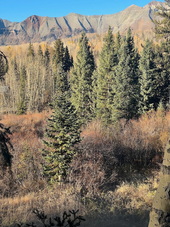 Iron Mtn to Campbell Peak