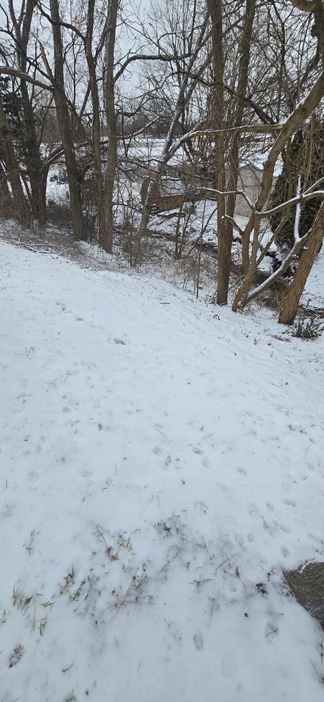 1168 ConcheMcO St, Mansfield, OH 44905 - photo 5