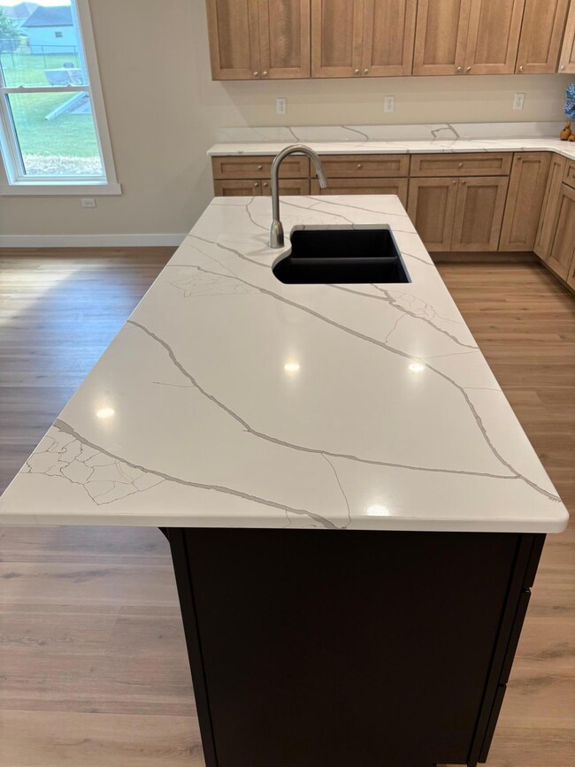 1101 Courtney Dr, Caledonia, MN 55921 - photo 6