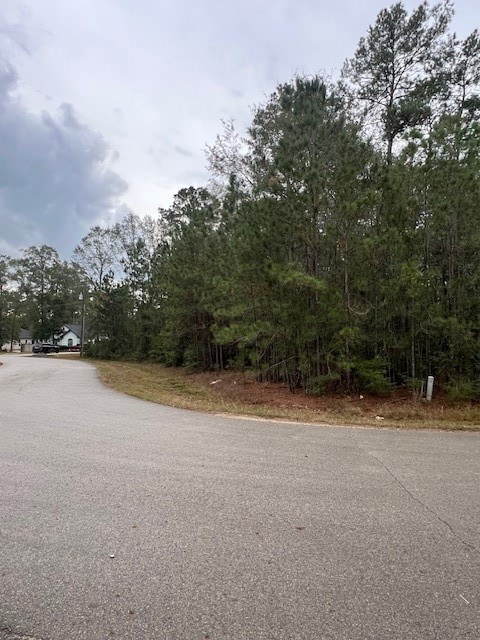 27702 Colapis Dr, Splendora, TX 77372 - photo 5