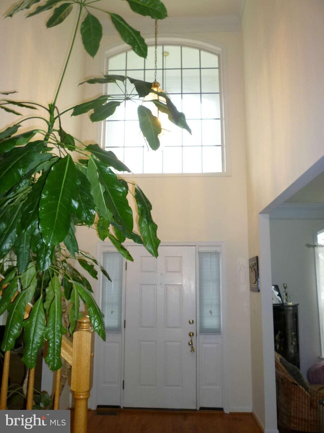 14419 Big Bear Ct unit 200, Silver Spring, MD 20906 - photo 2