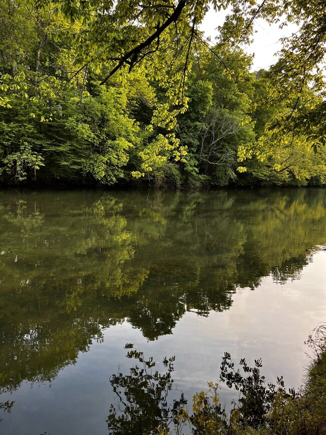 100 Nancy Ln, Mc Minnville, TN 37110 - photo 4