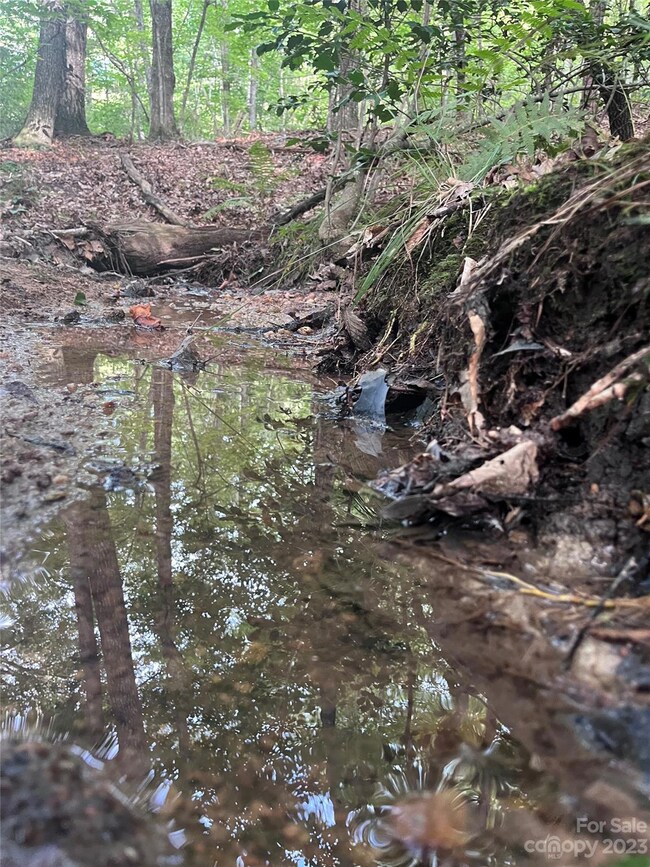 0 Shady Bark Ln unit 40 CAR4070380, Rutherfordton, NC 28139 - photo 7