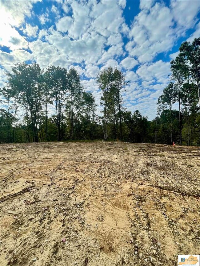 Lot 3 Ranchero Rd, Clarkson, KY 42726 - photo 6