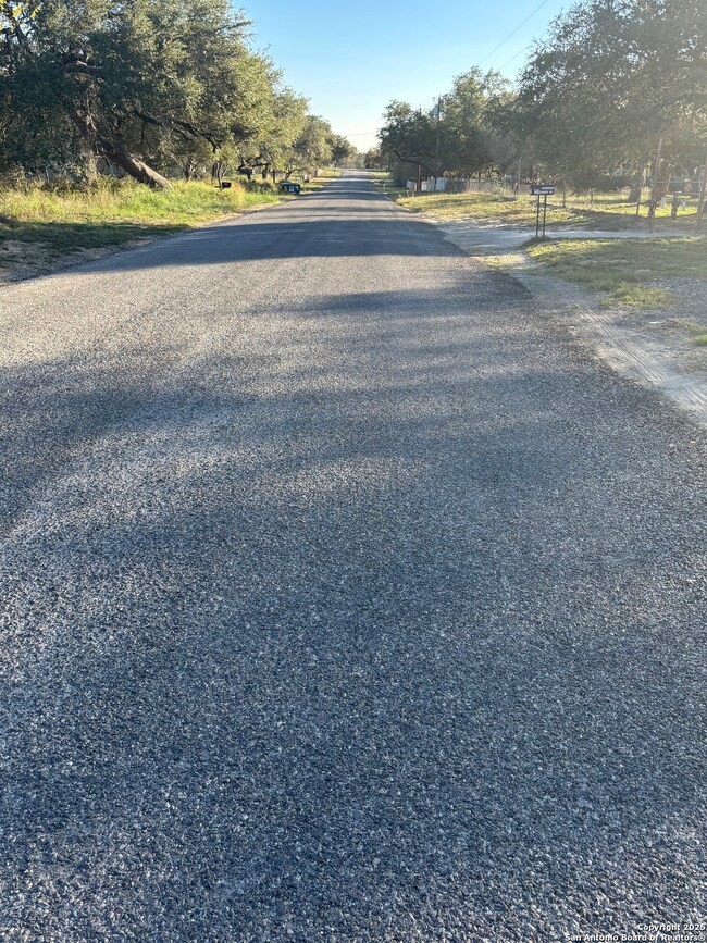 299 Praise Dr, Poteet, TX 78065 - photo 5