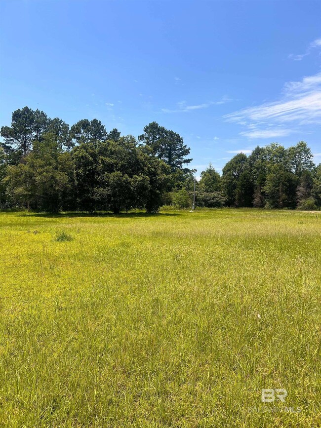 View of local wilderness