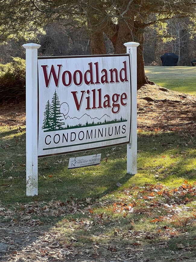 4 Constitution Dr, Londonderry, NH 03053 - photo 2