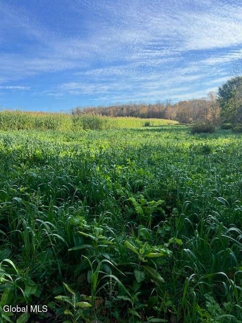 168 George Peasley Rd, Pharsalia, NY 13844 - photo 2