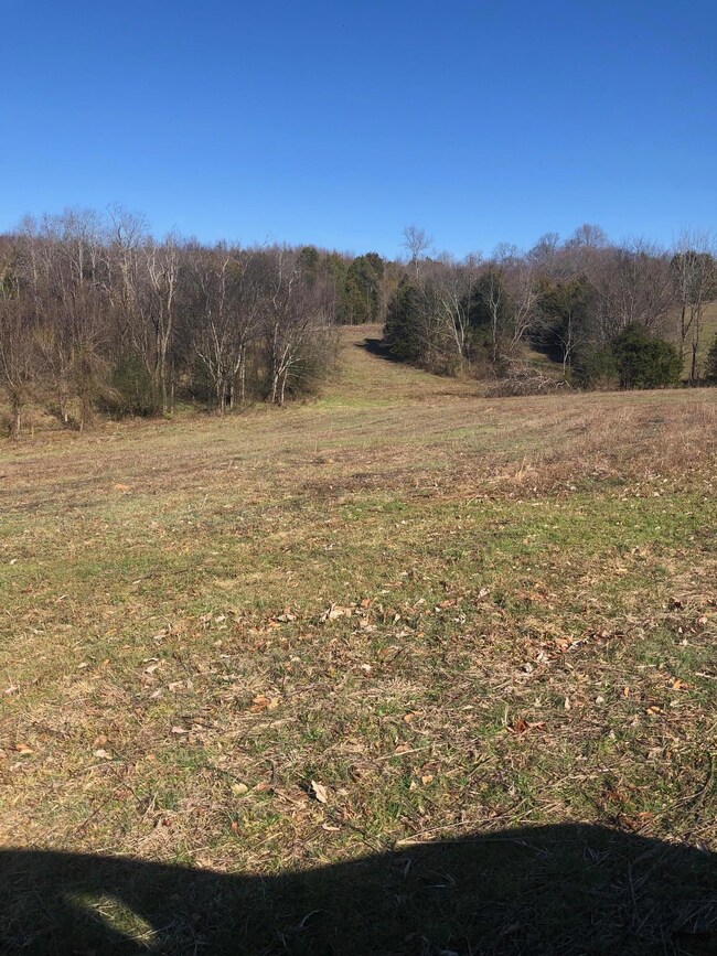 0 Cy Thomas Rd unit 2001897, Shelbyville, TN 37160 - photo 3