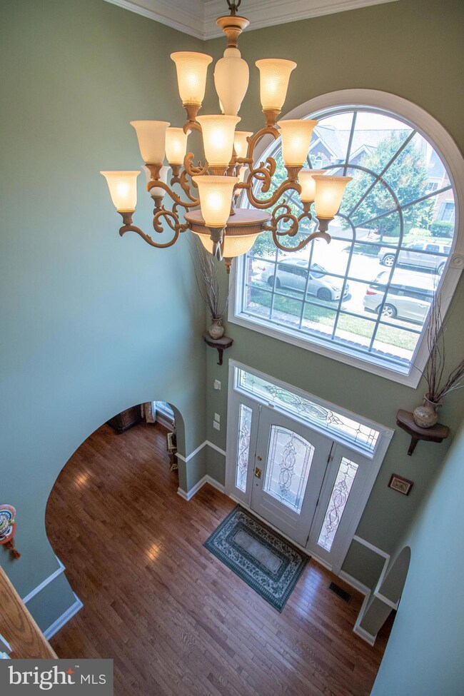 42520 Mandolin St, Chantilly, VA 20152 - photo 5