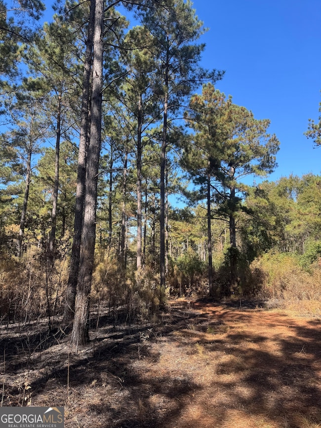 131 W Drummond Rd, West Point, GA 31833 - photo 4