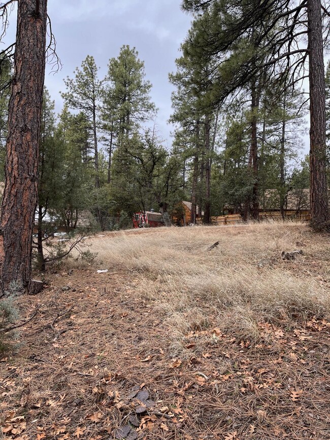 173 Hunt Dr, Pine, AZ 85544 - photo 3
