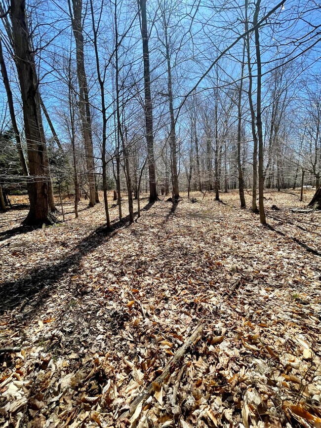 0 W Nanninga Dr unit 19, Ludington, MI 49431 - photo 5