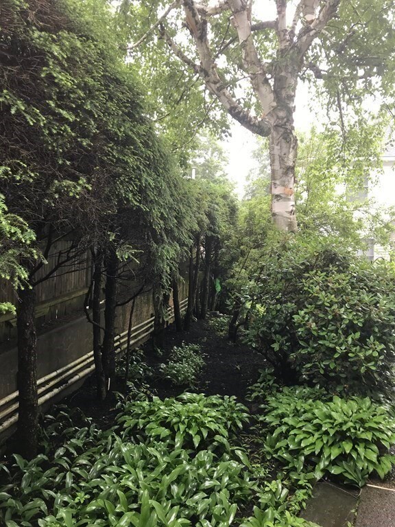 10 Beecher Place unit 10, Newton Center, MA 02459 - photo 7