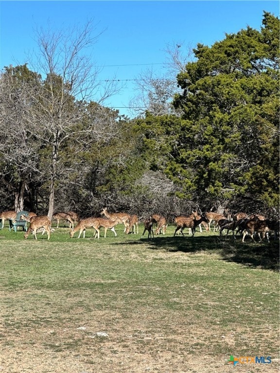 0 Deerwood Cir, Bandera, TX 78003 - photo 2