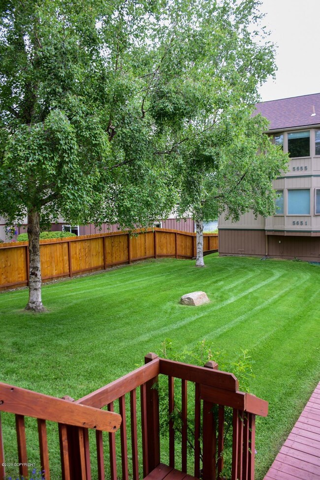 Amazing Lawn
