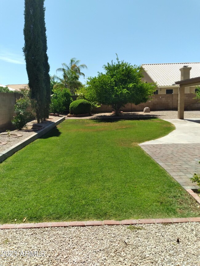 Backyard w/ Grass