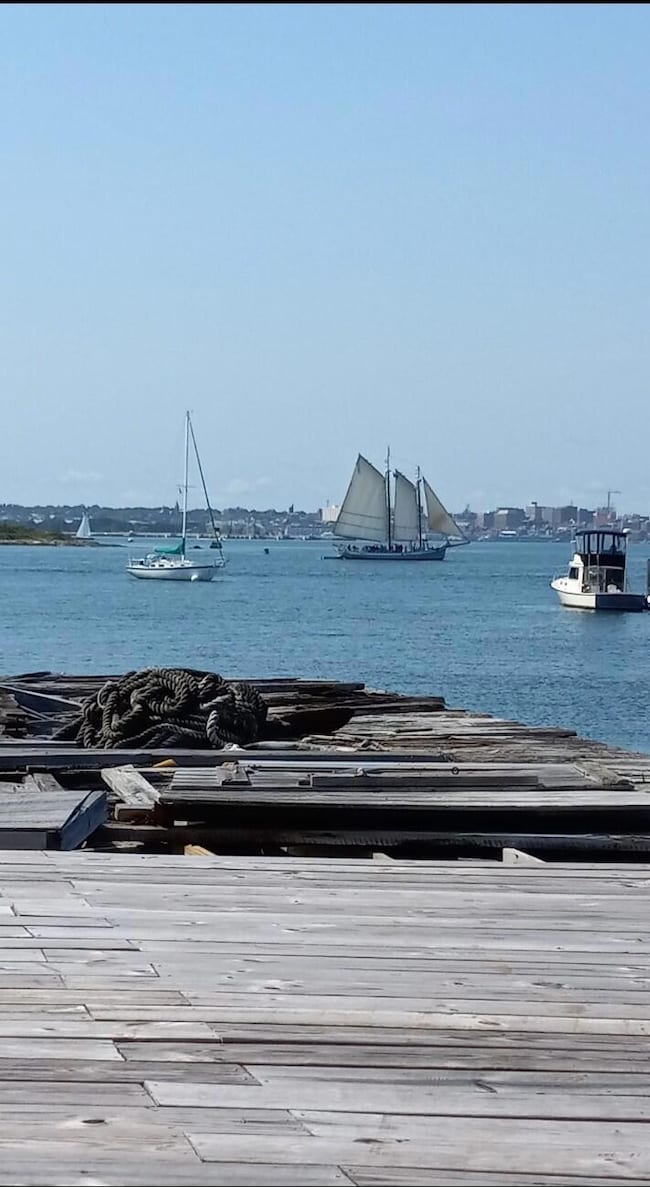 22 Boathouse Way, Portland, ME 04108 - photo 5