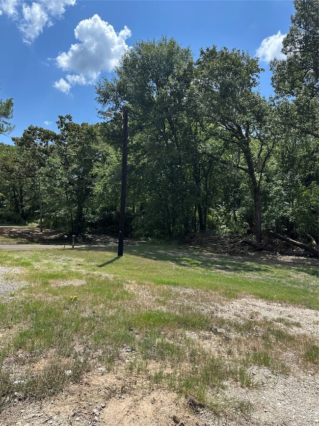 TBD Vz County Road 1806, Grand Saline, TX 75140 - photo 3