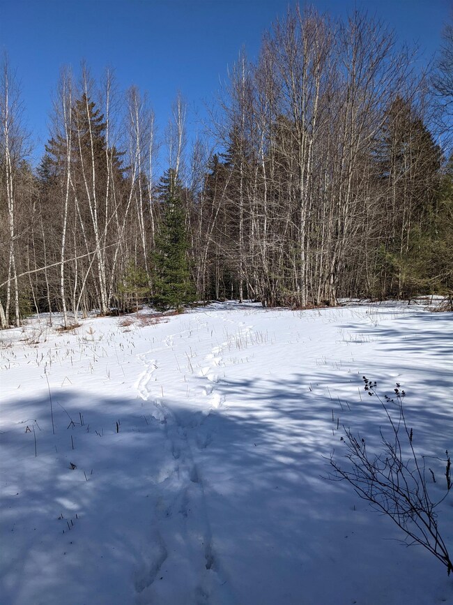 00 Minor Rd, Wilmington, VT 05363 - photo 3
