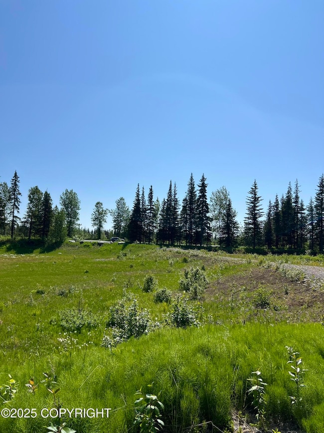 View from end of driveway