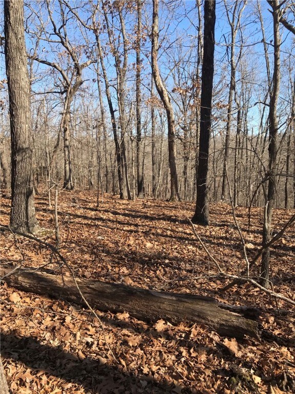 Middle of lot toward back of lot.