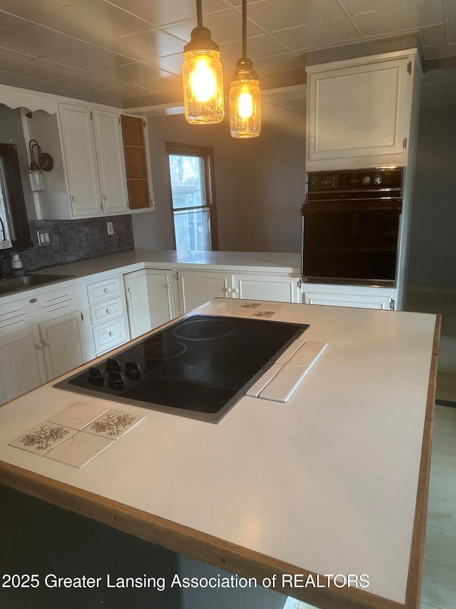 9469 Rossman Hwy, Eaton Rapids, MI 48827 - photo 4