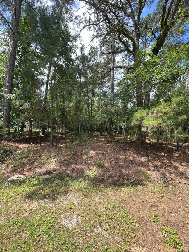 View of the LOT