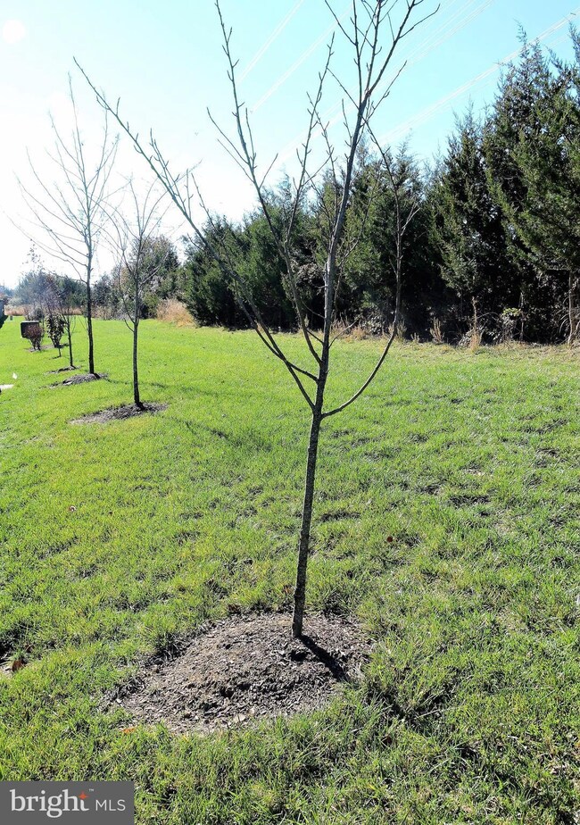 25061 Green Mountain Terrace, Aldie, VA 20105 - photo 6