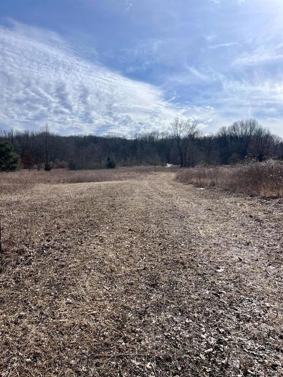 Plenty of open space with some woods in the back