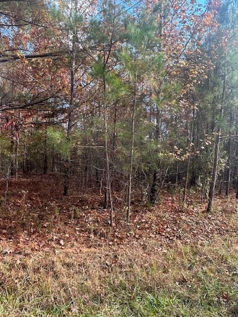 0 Oak Creek Dr, Big Sandy, TN 38221 - photo 2