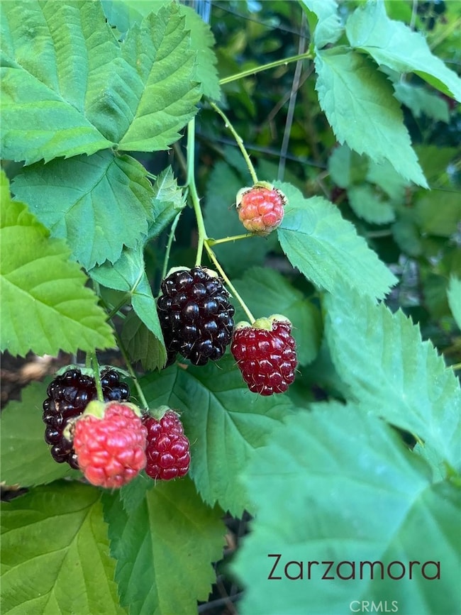 31710 Corte Esparza, Temecula, CA 92592 - photo 3